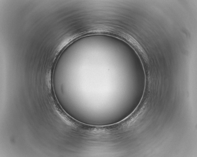 X0000116050842200911201405