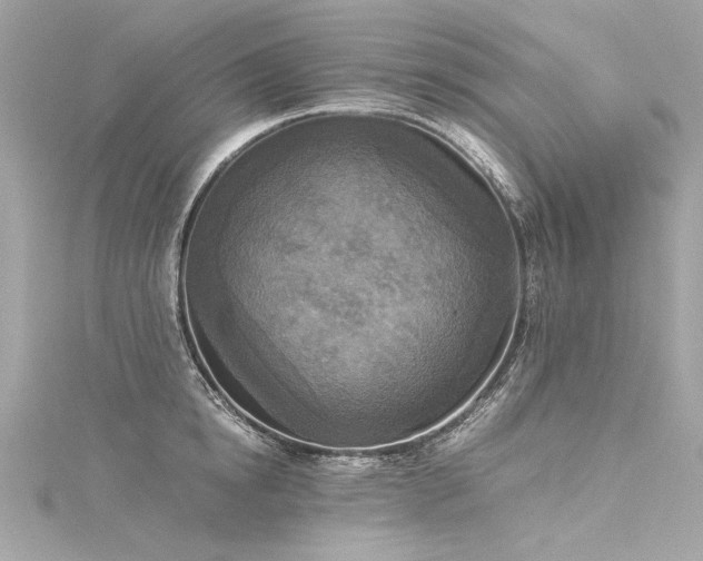 X0000116050854200911201405