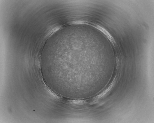 X0000116050857200911201405