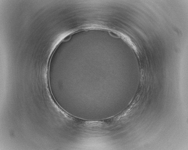 X0000116050863200911201405