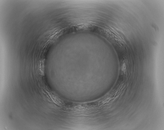 X0000116050868200911201404