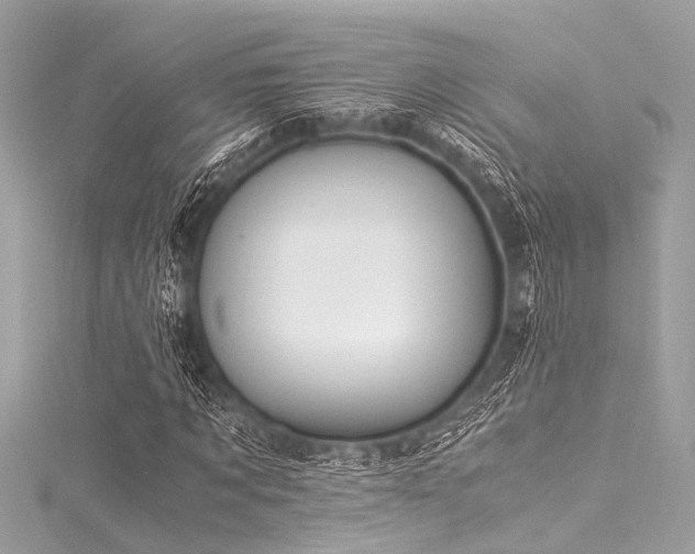 X0000116050869200911201404