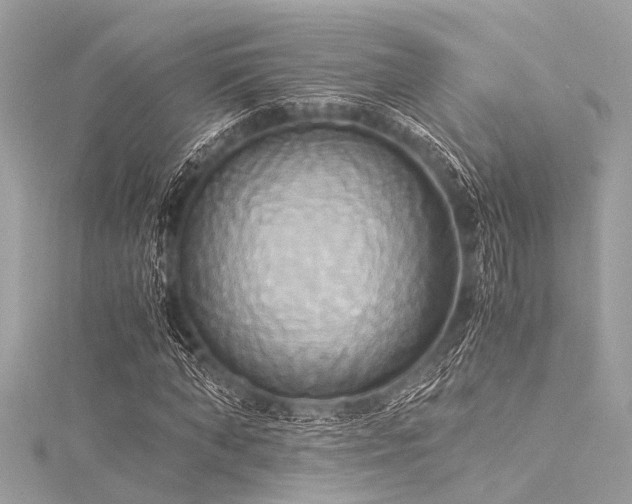 X0000116050870200911201404