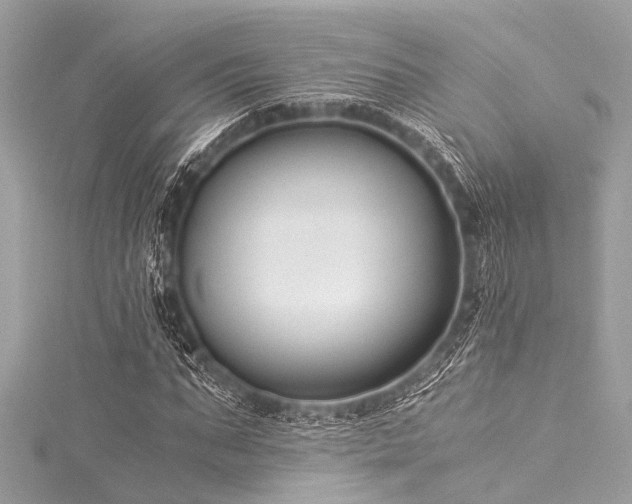 X0000116050871200911201404
