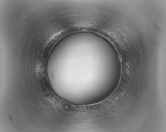 X0000116050872200911201404