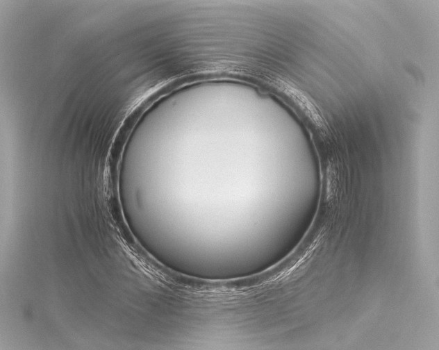 X0000116050876200911201404