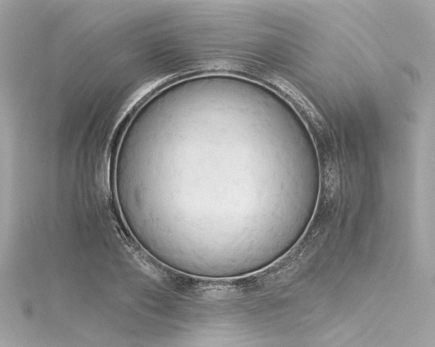 X0000116050886200911201404