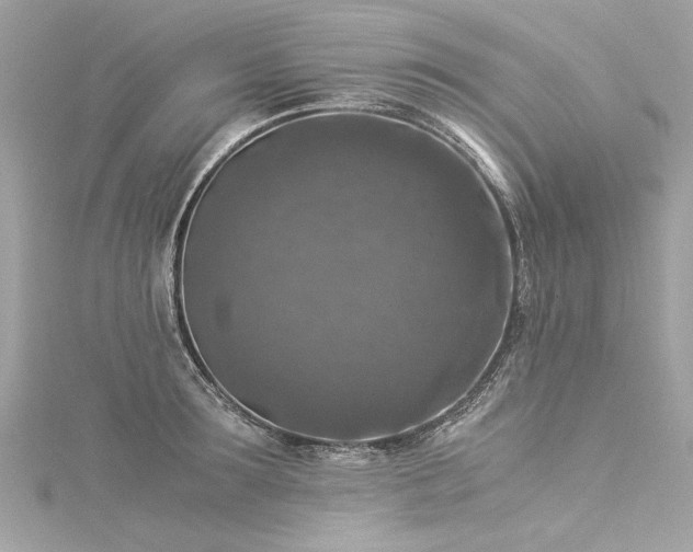 X0000116050899200911201404