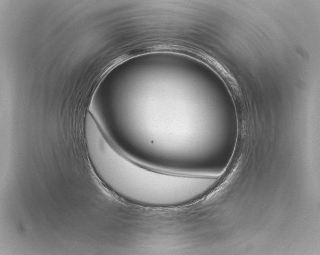 X0000116050905200911201404