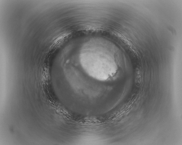 X0000116050918200911201403