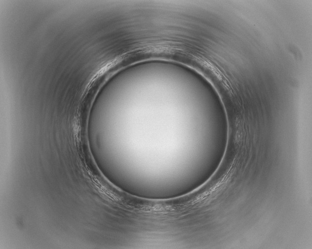 X0000116050922200911201403
