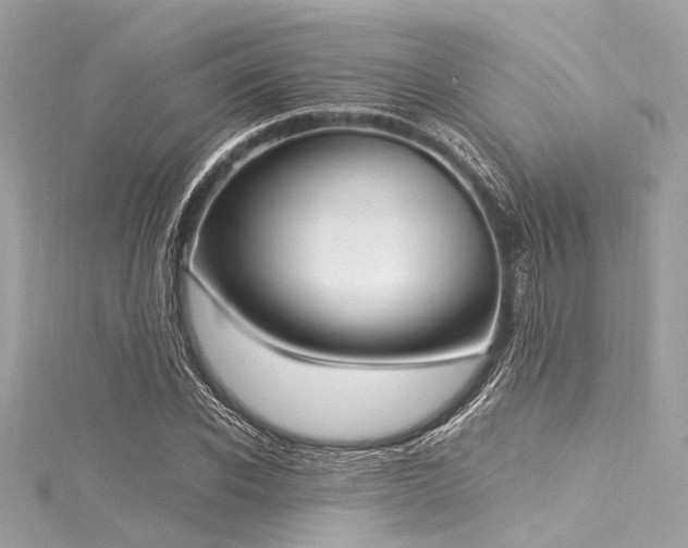X0000116050926200911201403
