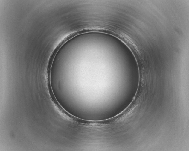 X0000116050942200911201403