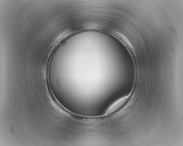 X0000116050946200911201403