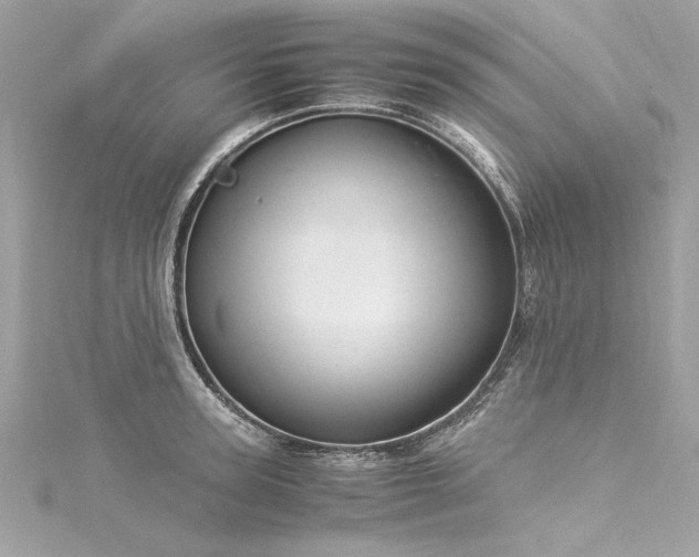 X0000116050947200911201403