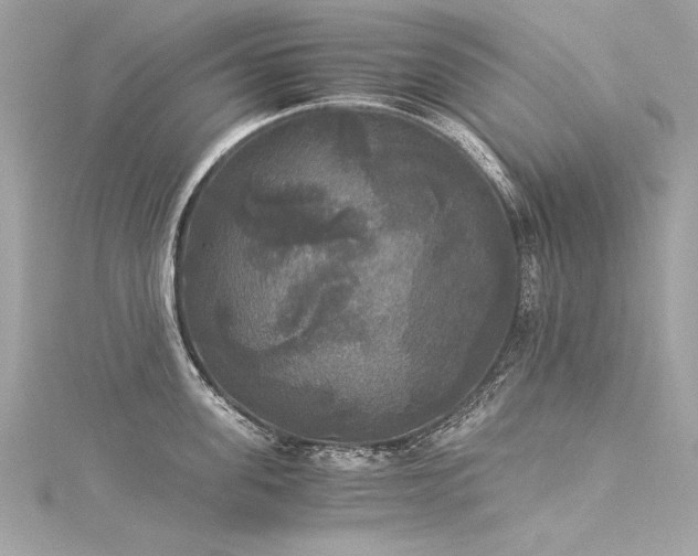 X0000116050955200911201404