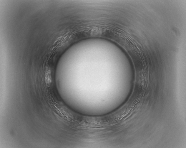 X0000116050962200911201403