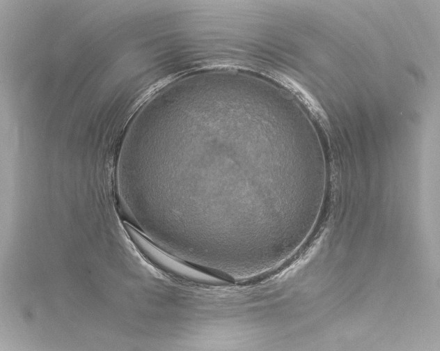 X0000116050993200911201402