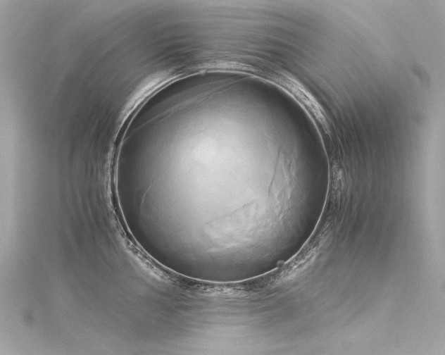 X0000116051002200911201402