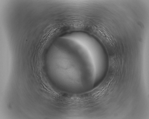 X0000116051009200911201402