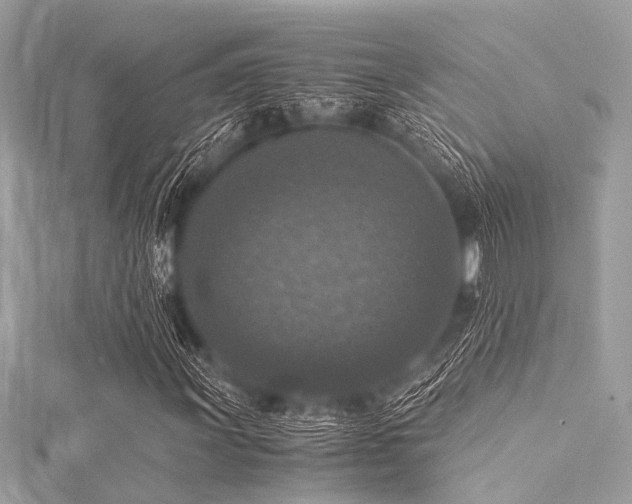 X0000116051011200911201402