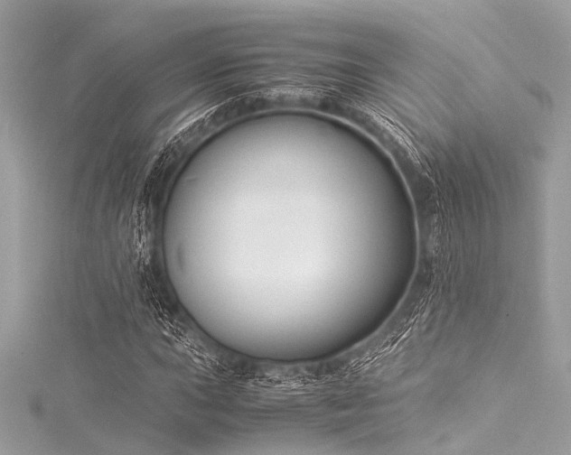 X0000116051015200911201402