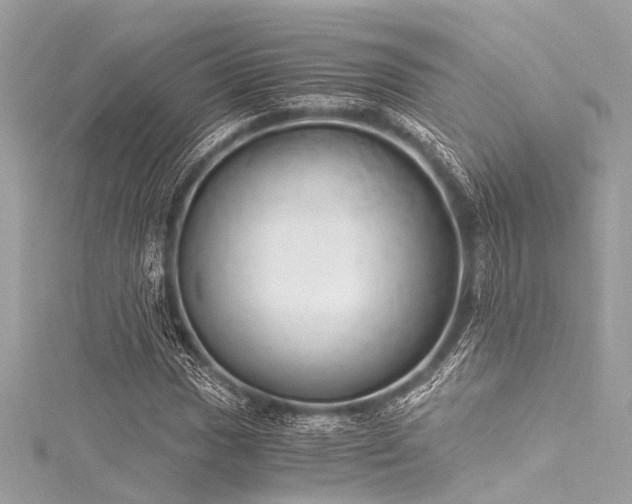 X0000116051017200911201402