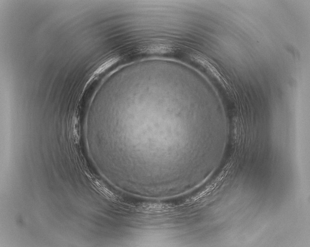 X0000116051018200911201402