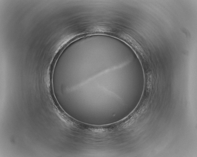 X0000116051031200911201402