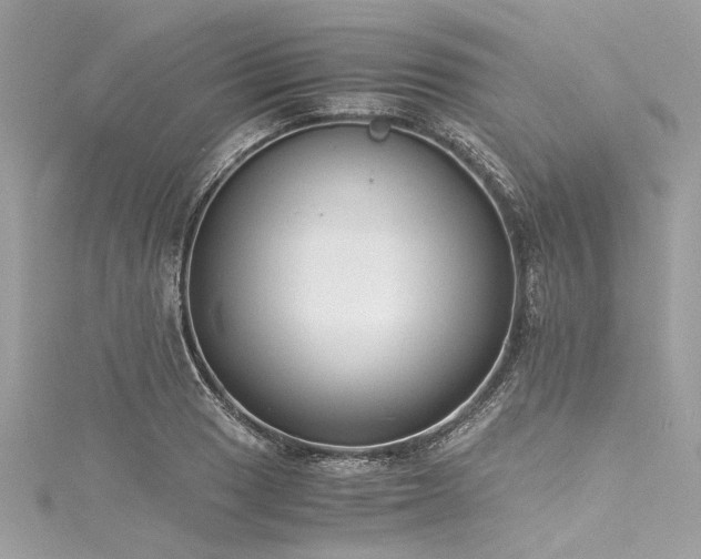 X0000116051033200911201402