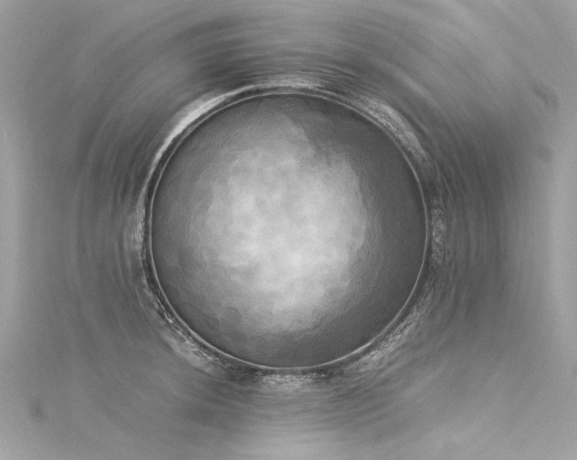 X0000116051044200911201402