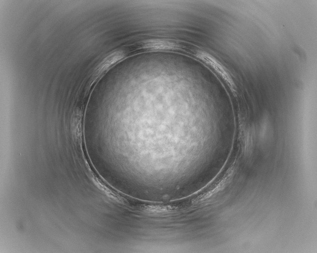 X0000116051049200911201402