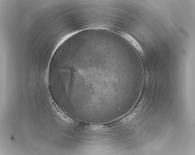 X0000116051052200911201402