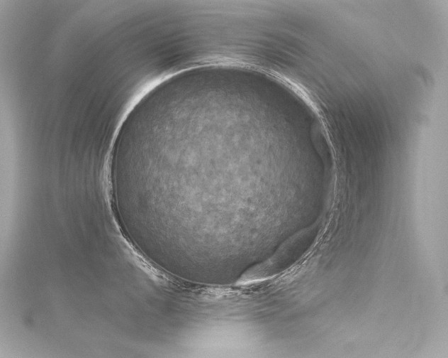 X0000116051056200911201402