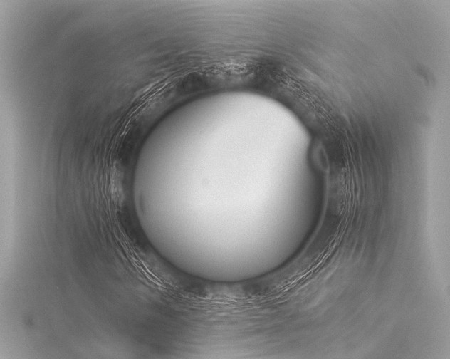 X0000116051058200911201402