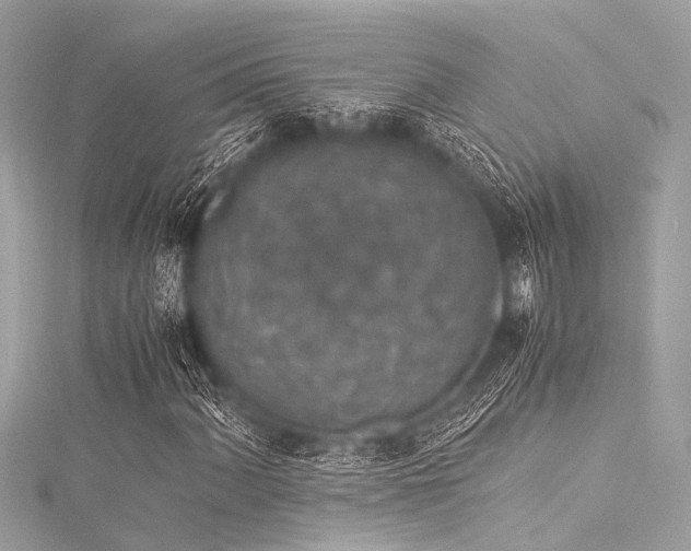 X0000116051060200911201402