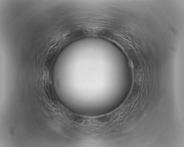 X0000116051061200911201402