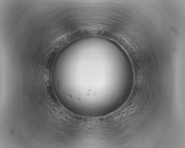 X0000116051062200911201402