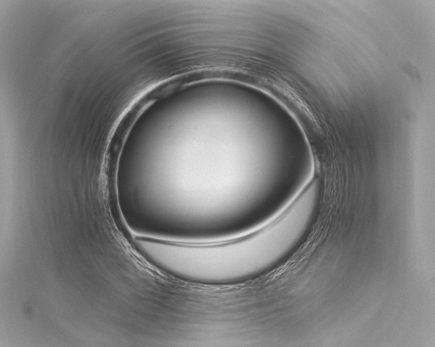 X0000116051068200911201401