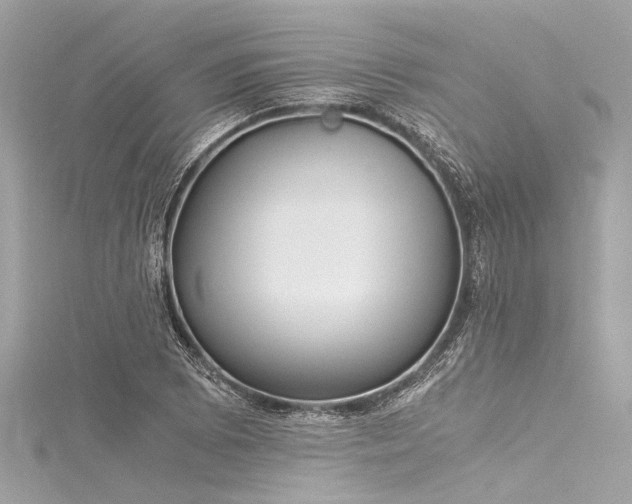 X0000116051073200911201401
