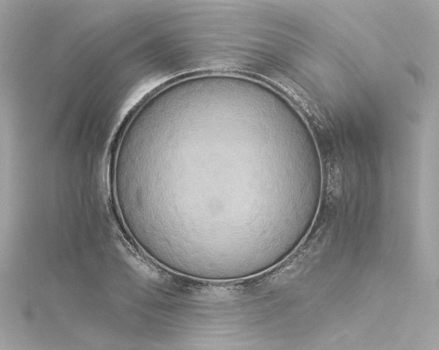 X0000116051078200911201401
