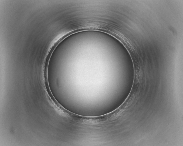 X0000116051086200911201401