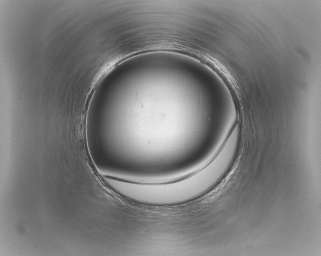 X0000116051097200911201401