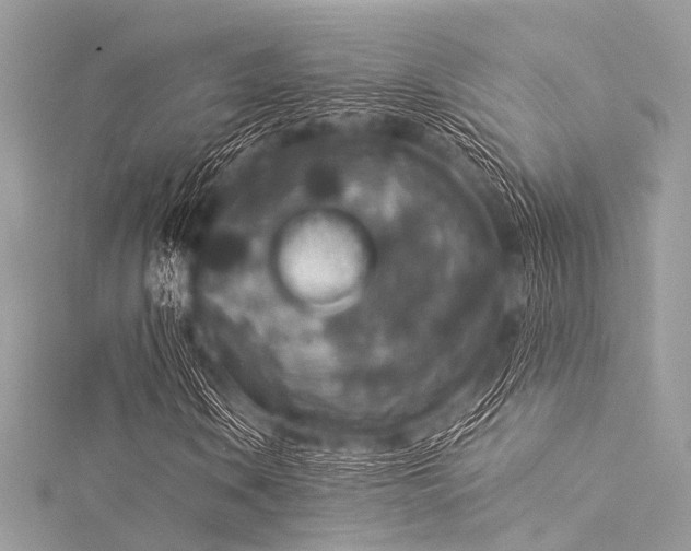 X0000116051106200911201400