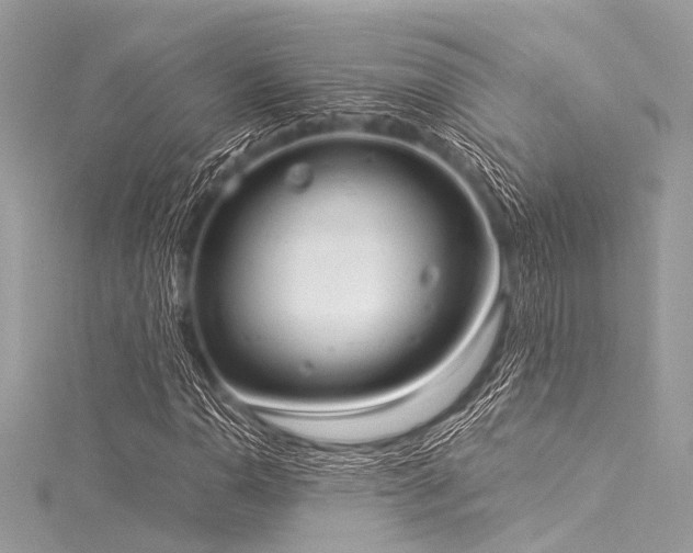 X0000116051110200911201400