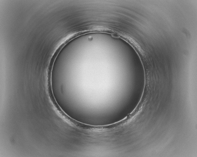 X0000116051134200911201400