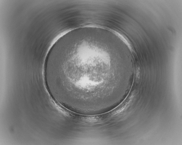 X0000116051149200911201401