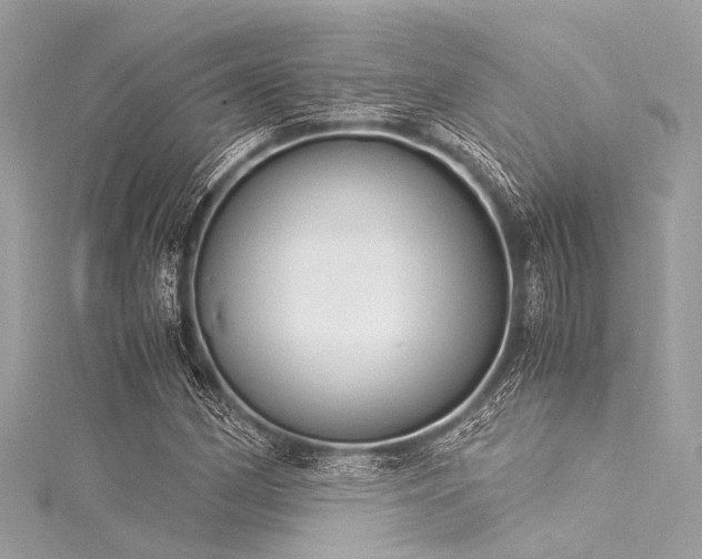X0000116051162200911201400