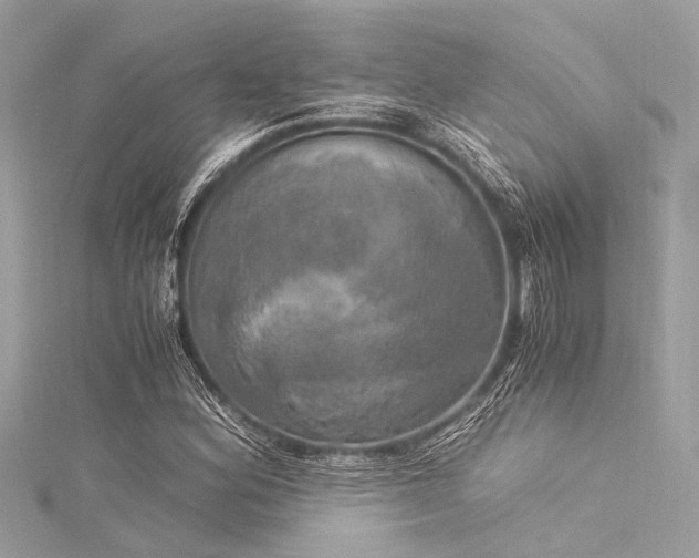 X0000116051164200911201400