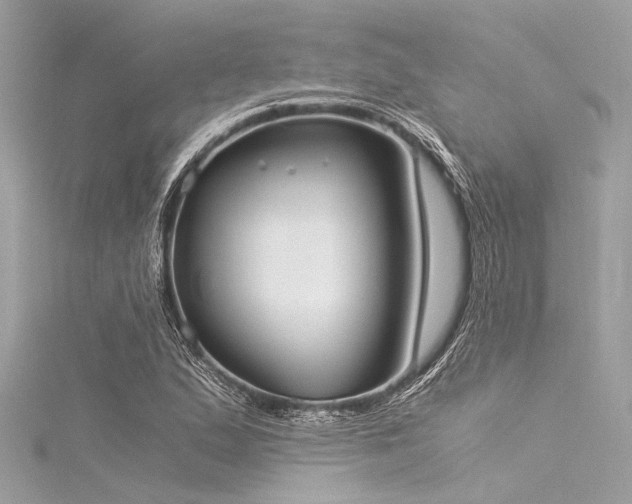 X0000116051167200911201400